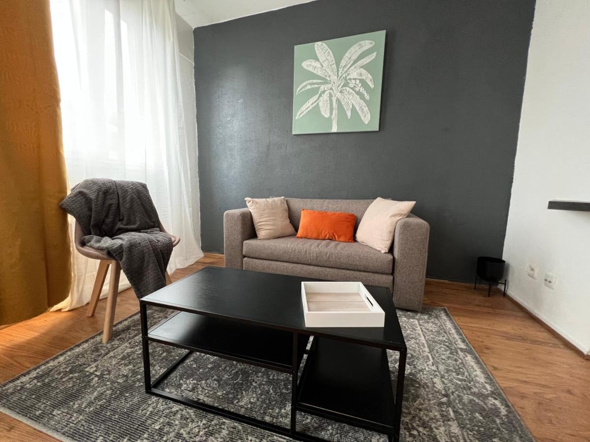 Mon Palmier Grand Appartement Parking Un-Sejour-A-Part Metz Zewnętrze zdjęcie