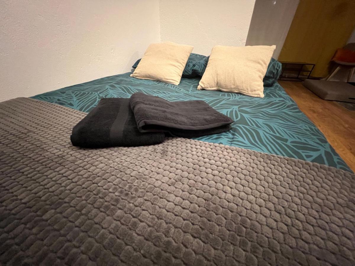 Mon Palmier Grand Appartement Parking Un-Sejour-A-Part Metz Zewnętrze zdjęcie