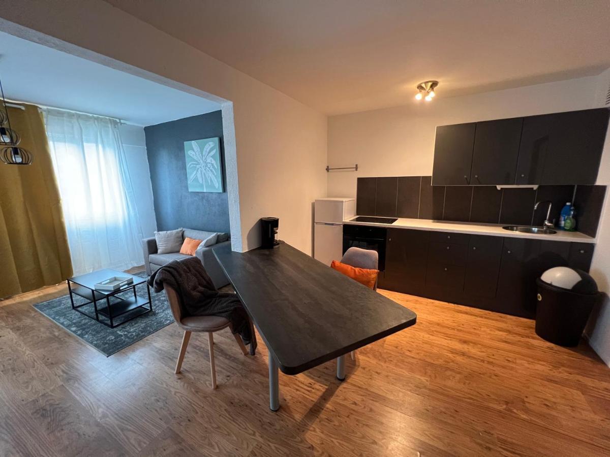 Mon Palmier Grand Appartement Parking Un-Sejour-A-Part Metz Zewnętrze zdjęcie