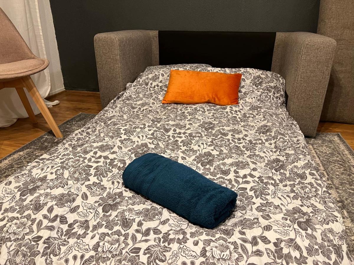 Mon Palmier Grand Appartement Parking Un-Sejour-A-Part Metz Zewnętrze zdjęcie